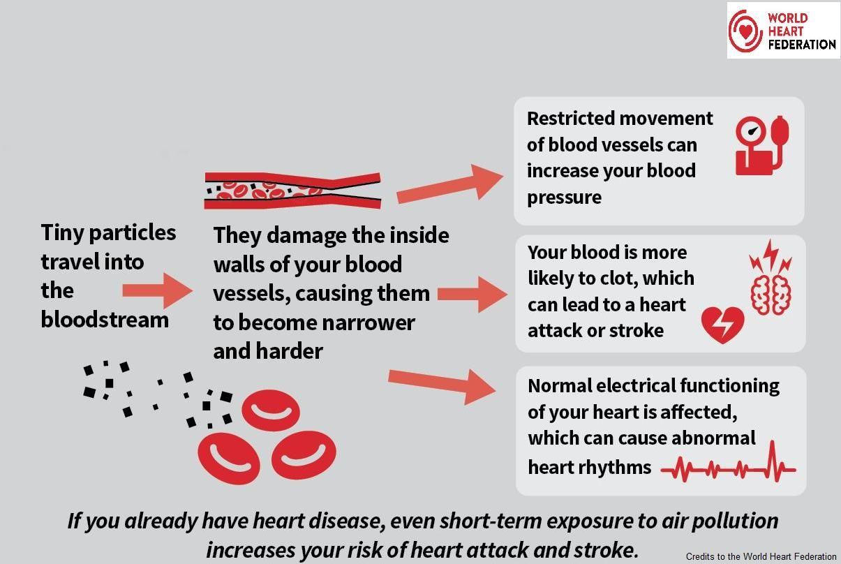 How Does Air Pollution Affect Your Heart La Prima Medicare How does air pollution affect your heart la prima medicare